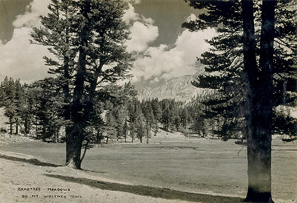 crabtree meadow